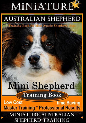 Mini Australian Shepherd training - Author Doug K Naiyn
